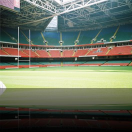 Millennium Stadium 